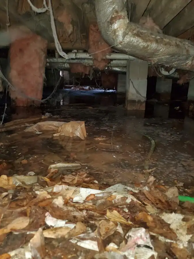 Crawl space flood assessment for Commercial Water Damage Restoration in Egelston